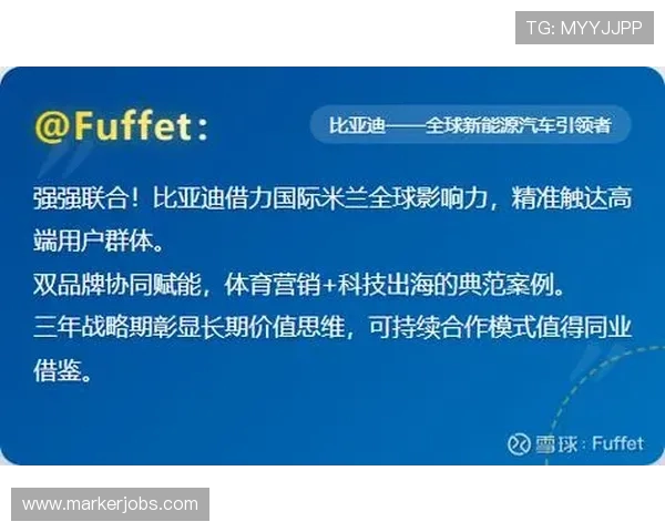 米兰平台对国际品牌战略的影响及案例研究 米兰平台对国际品牌战略的影响及案例研究