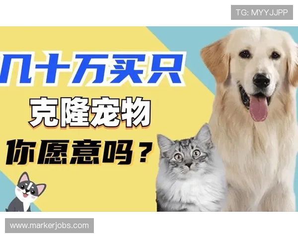 万狗体育：打造宠物运动赛事的专业赛事组织平台