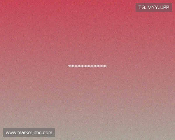 e星体育官方网站为用户提供专业的体育数据统计与分析报告