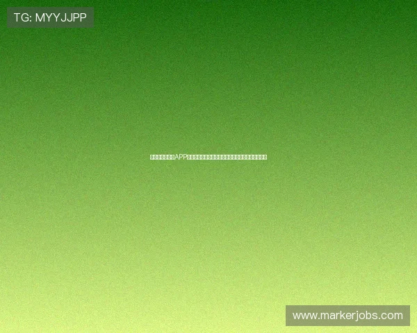 三亿体育手机版APP详细介绍,帮助新手快速上手体验丰富体育娱乐内容